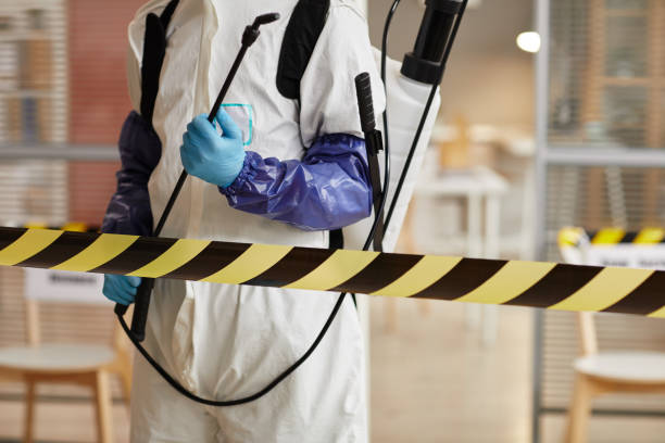 Professional Biohazard technician working in Hye, TX